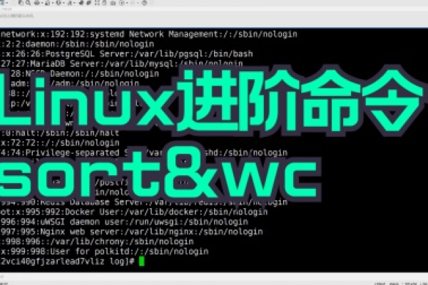 Linux中logout命令的作用是什么？  第3张