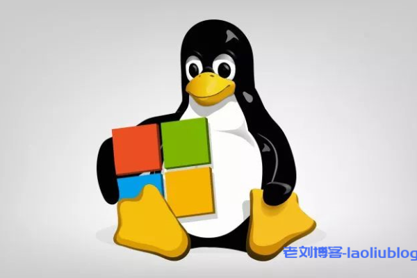 Windows与Linux，哪个操作系统更适合您的需求？  第3张