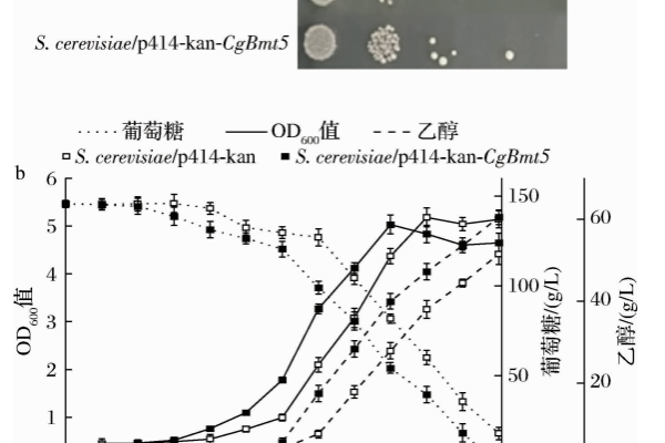 皖CDN650究竟指的是什么？