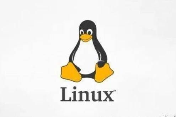 Linux 分五，这篇文章究竟探讨了哪五个方面？