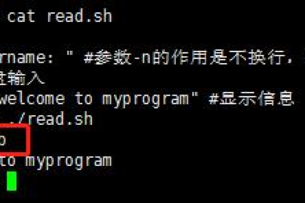 如何有效地在Linux中使用read命令读取文件内容？  第3张