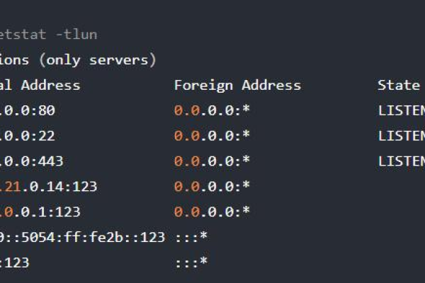 如何使用Linux命令netstat来监控网络连接？  第3张