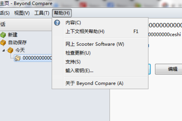 如何使用代码对比工具BCompare进行高效代码审查？  第2张