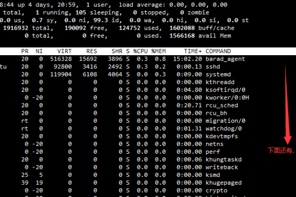 Linux系统中如何有效管理和优化磁盘目录？