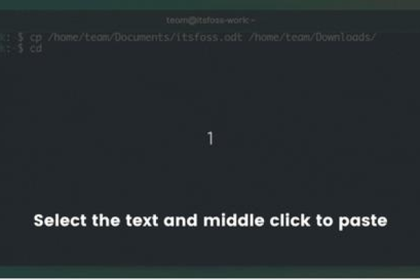 如何在Linux系统中进行文件粘贴操作？  第2张