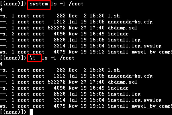 如何在Linux系统中执行指令？