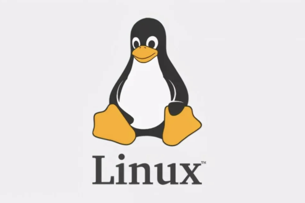 为什么 Linux 系统启动速度会变慢？