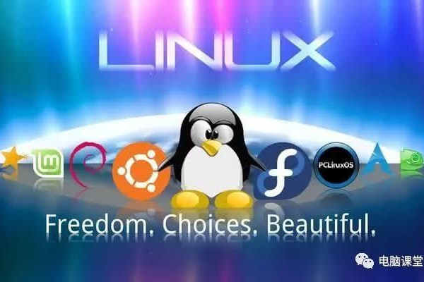 服务器是否运行Linux操作系统？  第1张