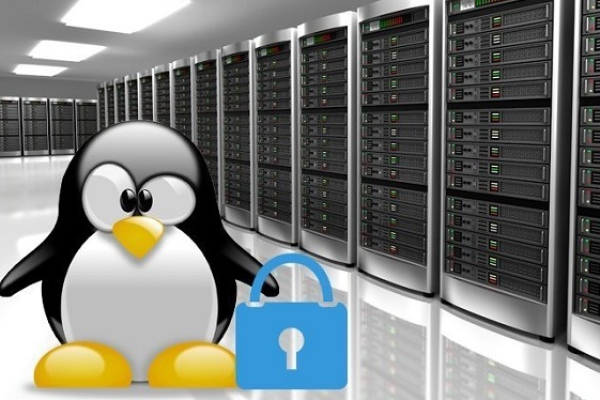 服务器是否运行Linux操作系统？  第2张