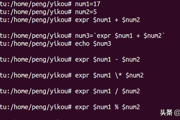 如何通过实战掌握Linux Shell脚本编程？  第1张