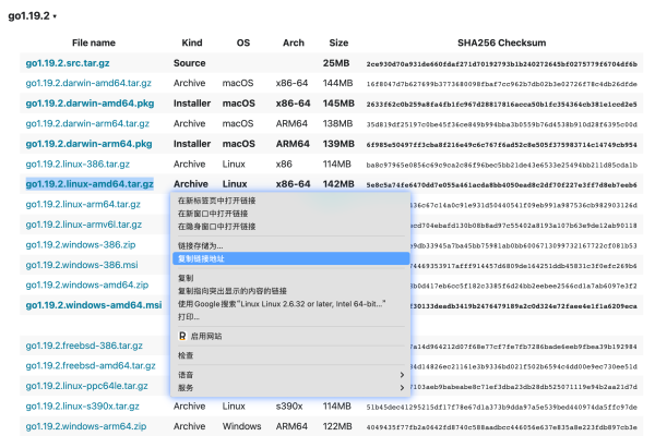 如何在Linux系统上安装Go编程语言？  第3张