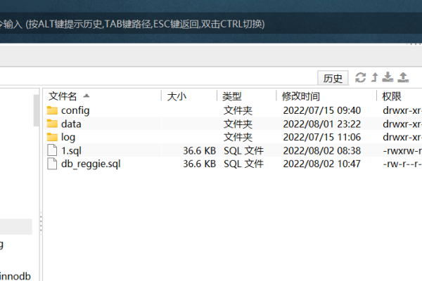 如何解决MySQL容器内文件权限和用户身份未知的问题？