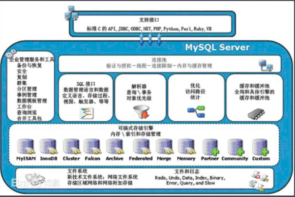 MySQL与CSG文件共享，它们在数据管理中扮演什么角色？