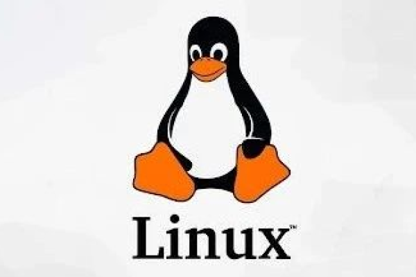 在Linux中，$0代表什么？  第3张