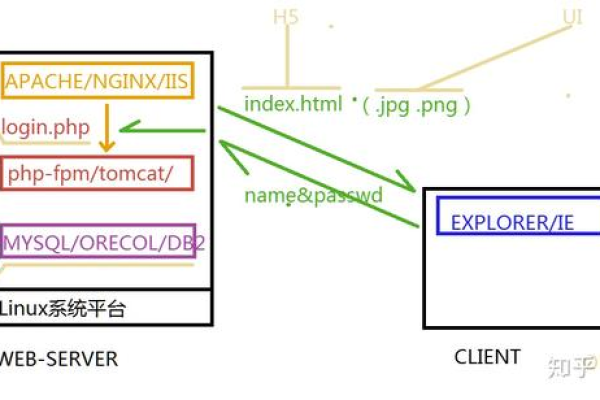 Linux系统中Apache服务器的位置在哪里？