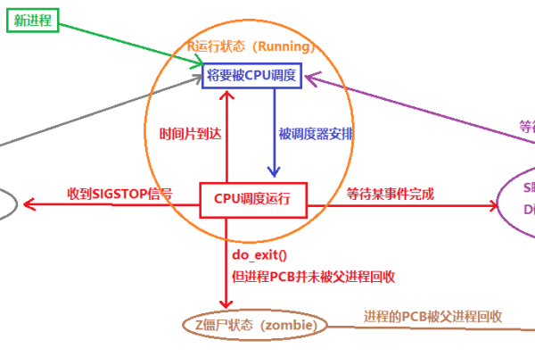 Linux系统中的进程为何会处于D状态？如何解读这一状态？