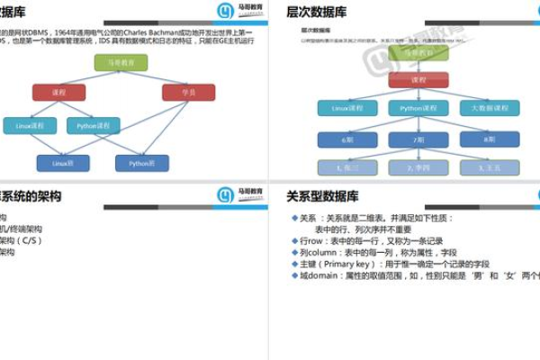 掌握MySQL数据库语句，如何结合中药大全提升数据管理效率？  第2张