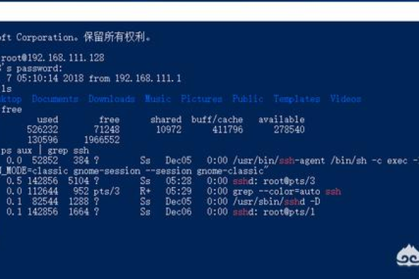 如何有效使用Linux SSH连接工具进行远程管理？