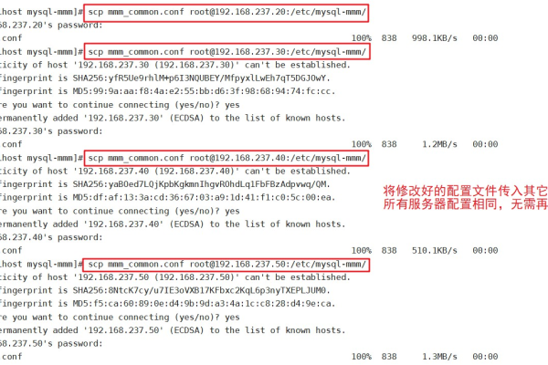 如何在MySQL中高效查询特定周的指定集群数据库记录？  第2张