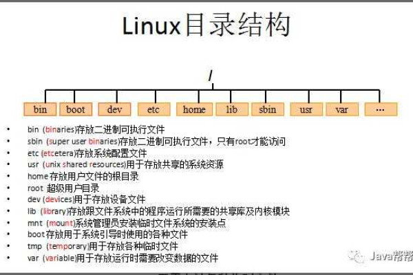 如何查看Linux系统的根目录？