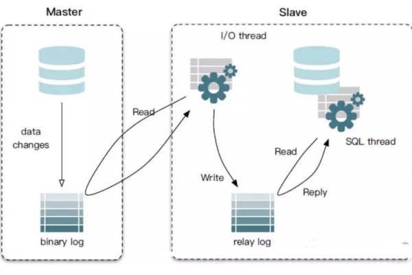 MySQL MVC数据库操作日志，如何确保操作日志的完整性与实时性？