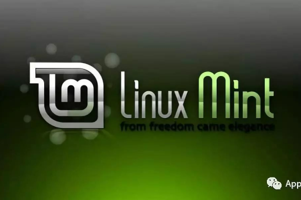 如何安装Linux Mint 17？  第1张