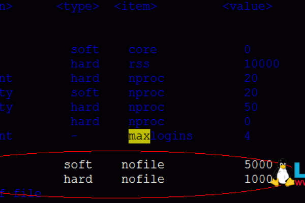 如何查看Linux系统中的最大连接数？  第3张