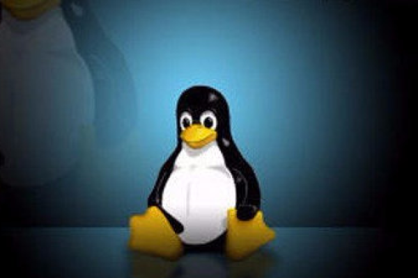 Linux dz是什么？它在Linux系统中扮演什么角色？