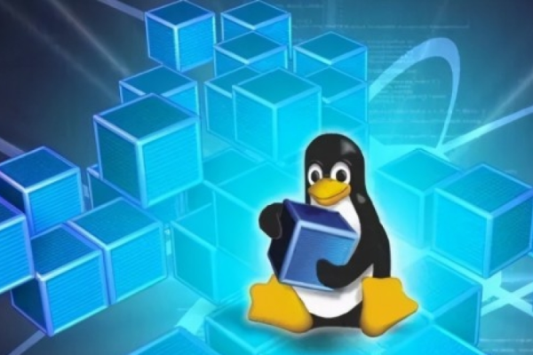 Linux Pub是什么？探索开源世界的聚会之地