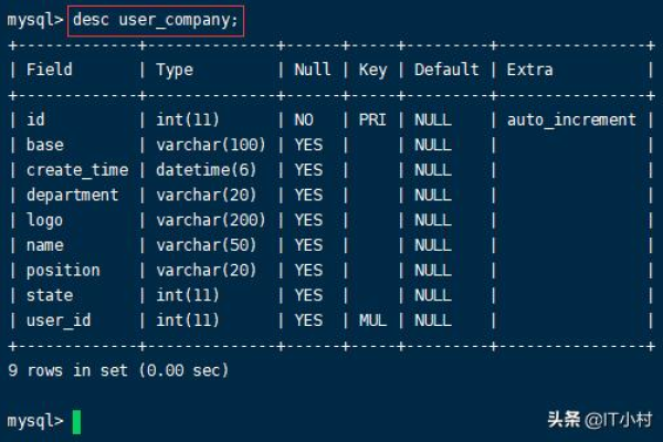 如何有效地使用MySQL更新命令来维护数据库信息？