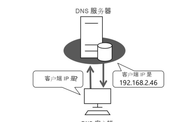 服务器无法解析DNS地址，该如何解决？  第3张