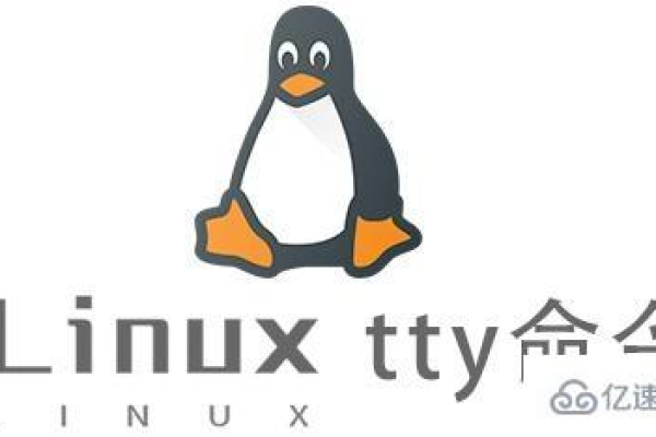 如何在Linux中切换tty？