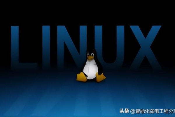 如何高效掌握并应用Linux指令进行日常操作？  第2张