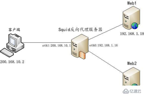 如何进行Squid在Linux上的配置与优化？