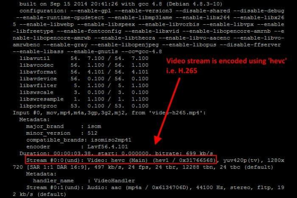 如何在Linux系统中进行视频解码？  第3张