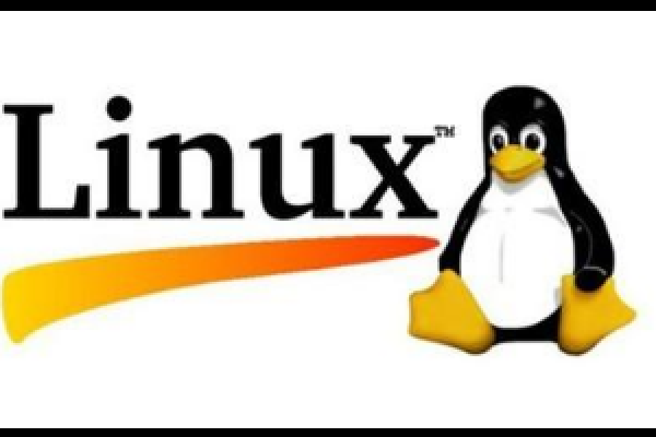 如何在Linux系统中安装并使用Screen命令？