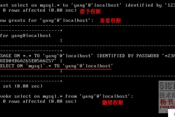 如何正确设置MySQL备份数据库的权限？  第3张