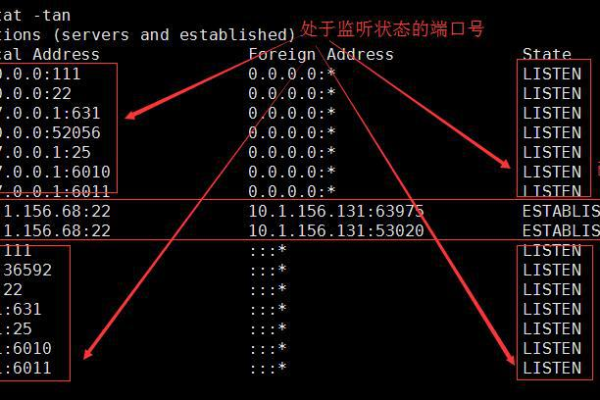 Linux系统中，如何使用上网命令？  第2张