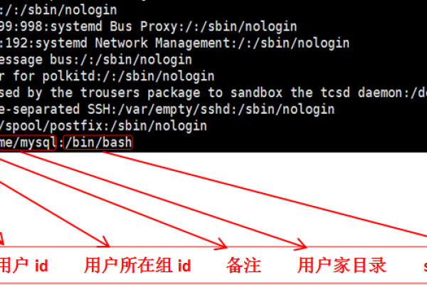 如何在 Linux 系统中查看用户所属的组信息？