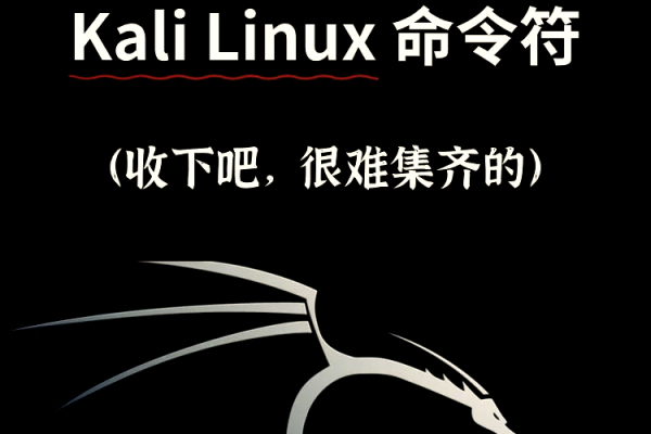 Kali Linux 命令有哪些？如何有效使用它们？  第2张