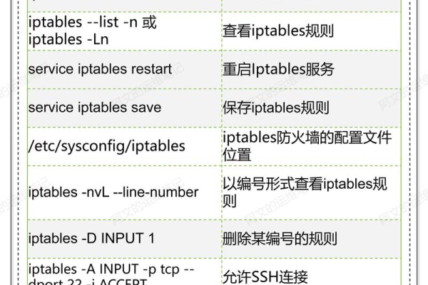 如何在Linux中使用exec函数执行程序？