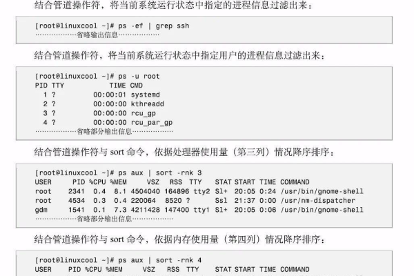 如何高效地使用命令行解析器进行编程任务？  第1张