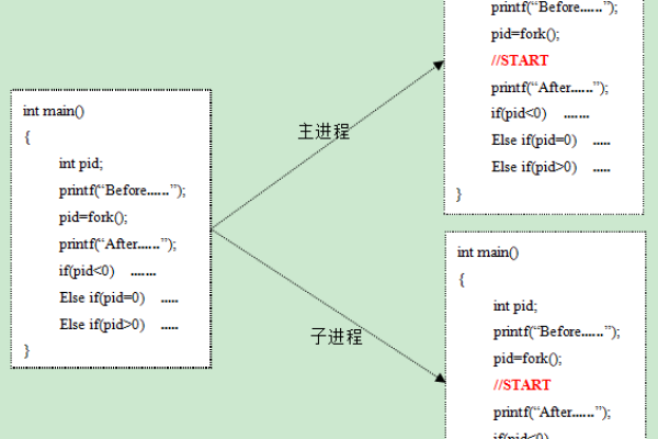 如何在Linux C中正确使用fork函数创建子进程？