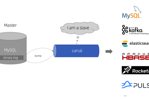 c#mysql数据库增加数据  第2张