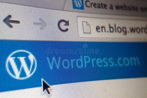 快速搭建一个网站_使用WordPress快速搭建网站