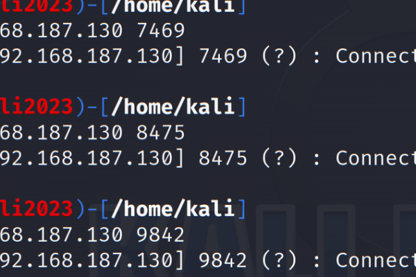 CDN TLCs 9377，这串神秘代码背后隐藏着什么秘密？  第2张