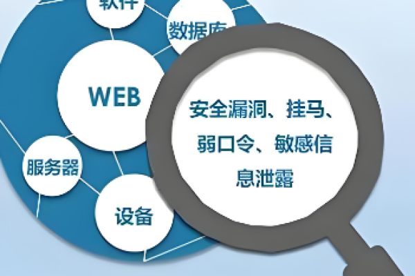 如何迅速掌握网站开发并有效识别其安全破绽？