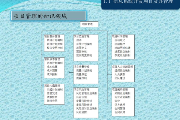 如何在信息系统集成项目中有效管理操作流程？  第3张